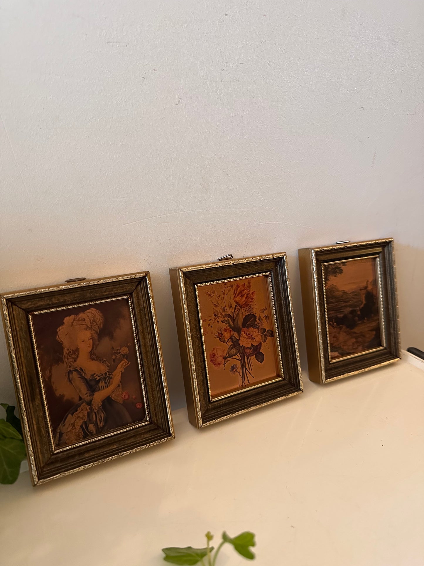 Klassiek prentje van landschap in vintage lijstje