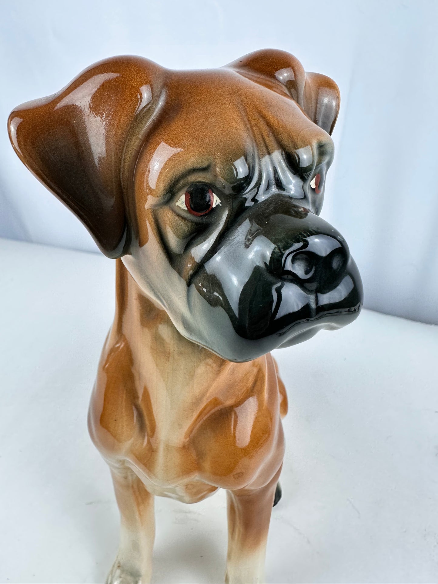 Beeld vintage van Boxer