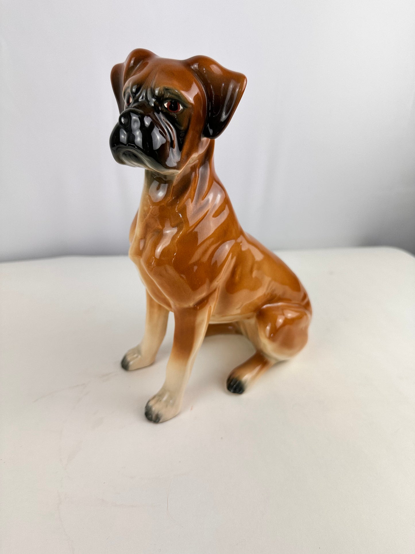 Beeld vintage van Boxer