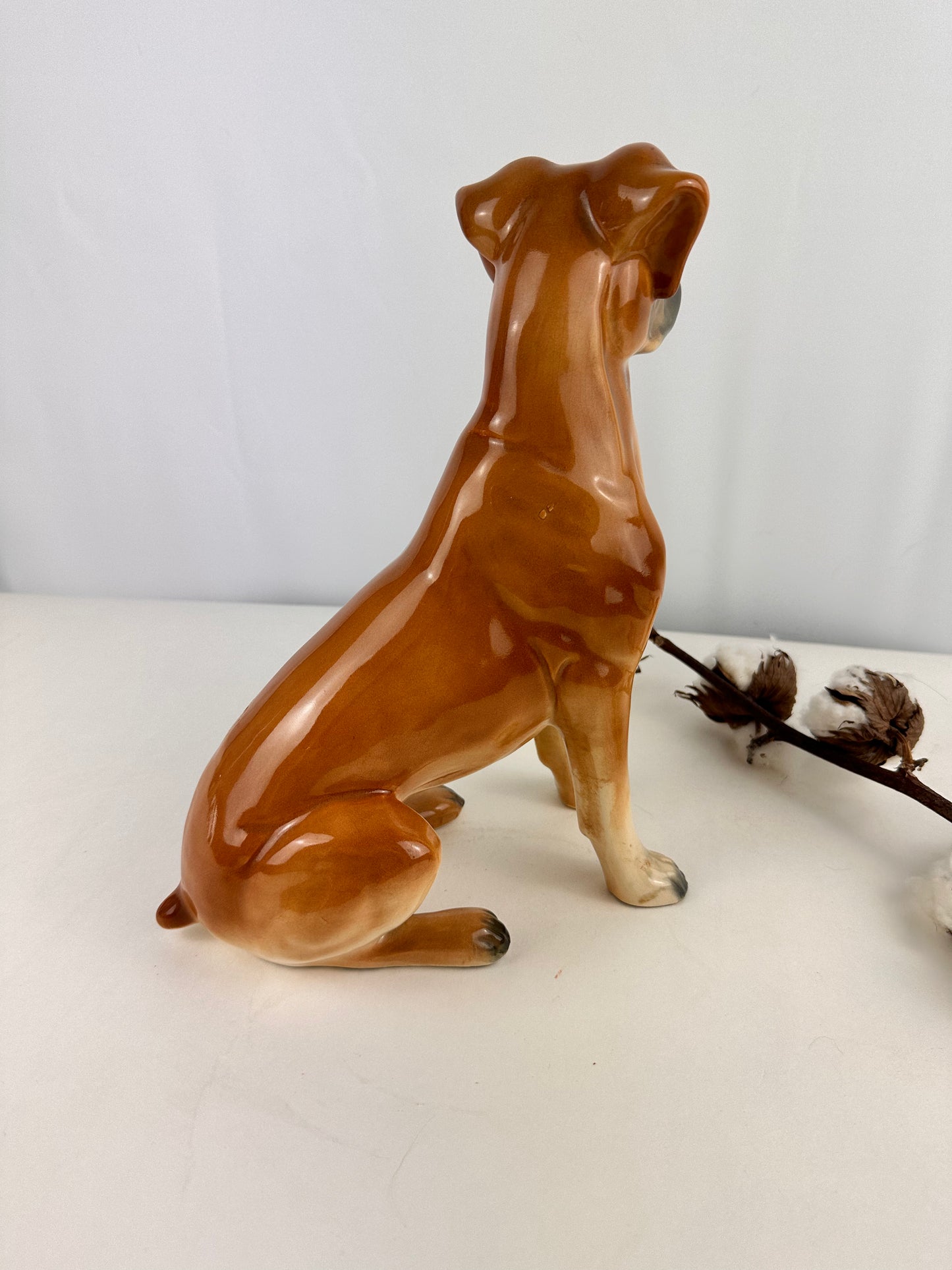 Beeld vintage van Boxer