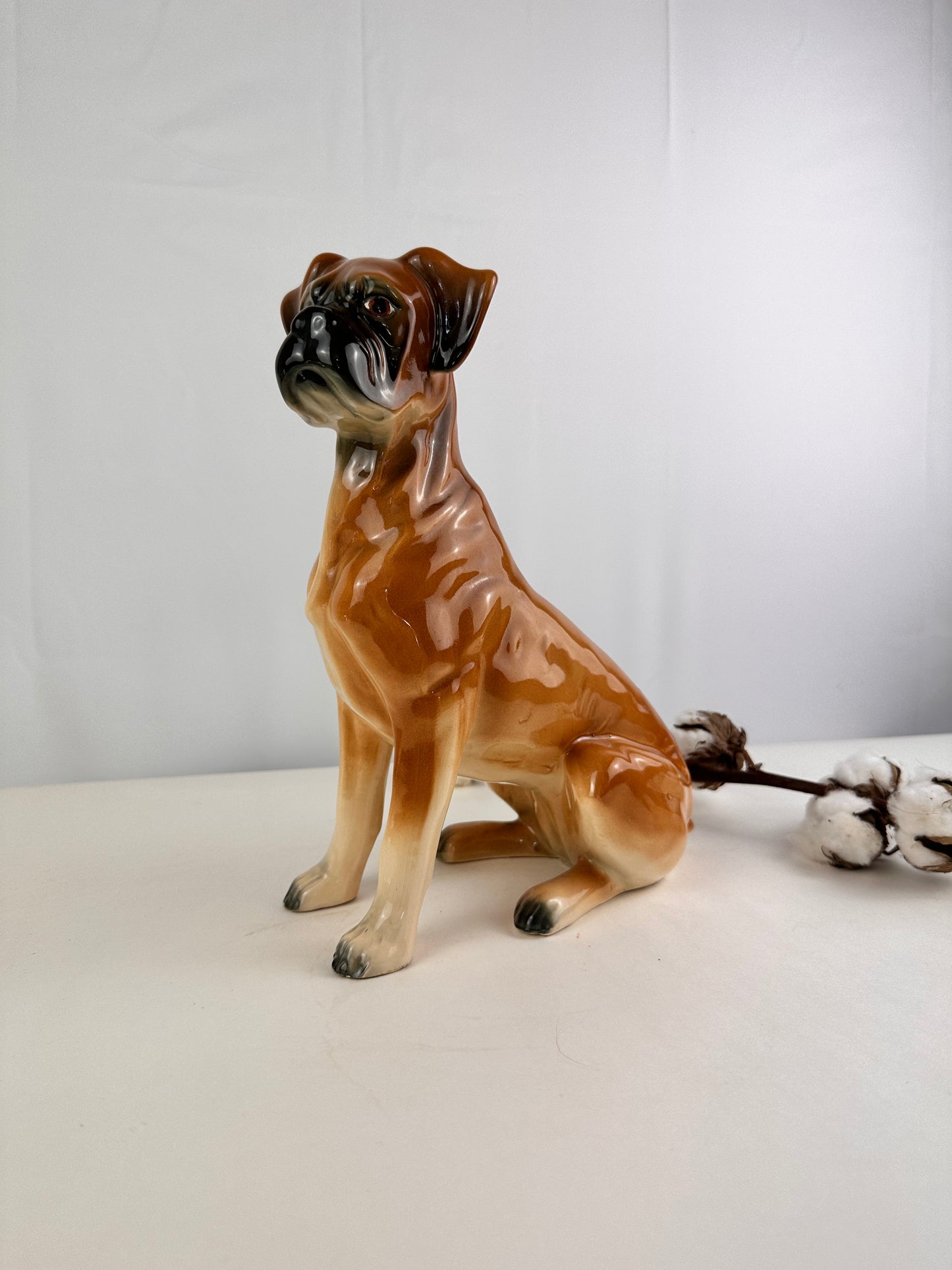 Beeld vintage van Boxer