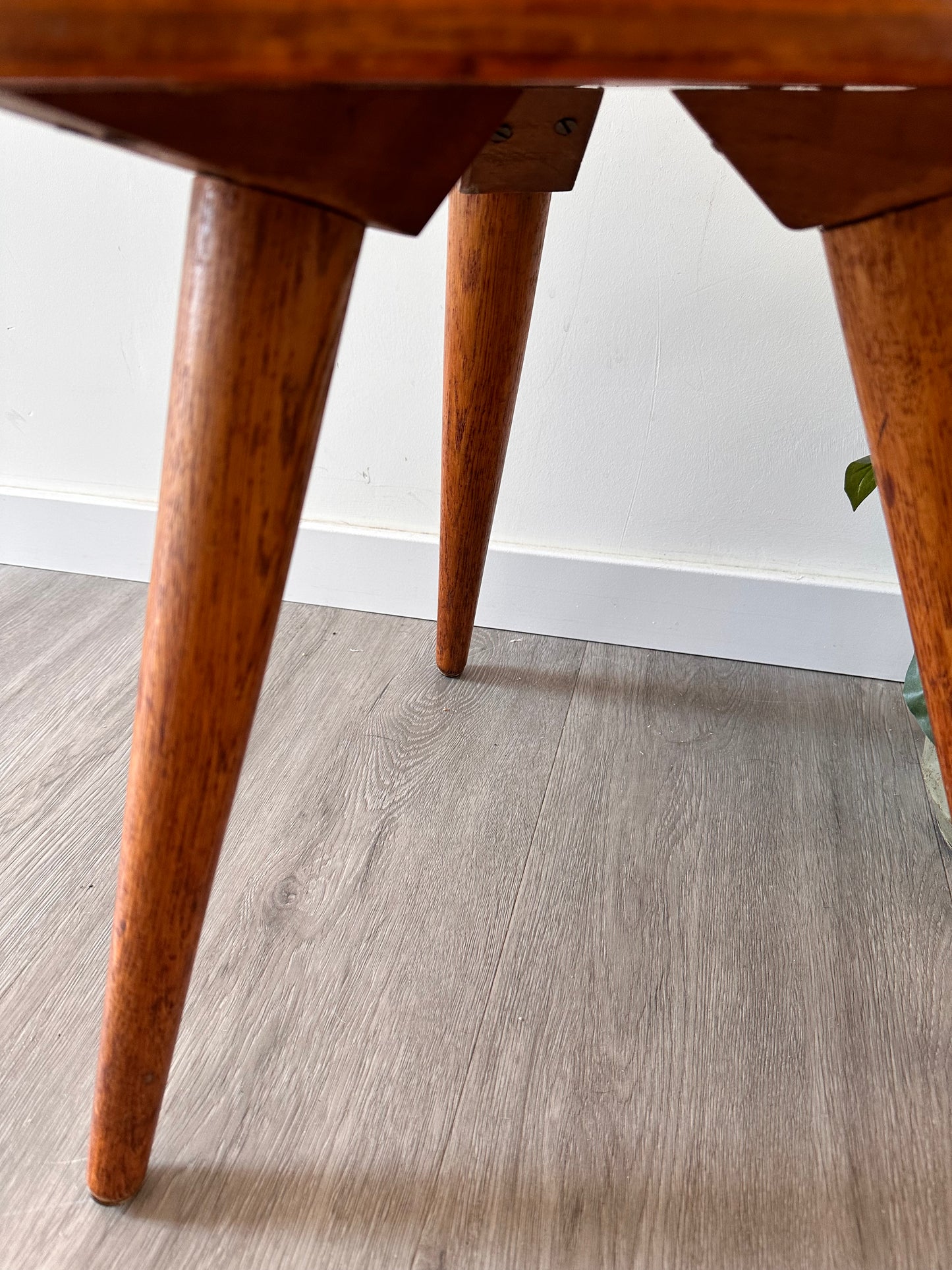 Plantentafeltje hout vintage