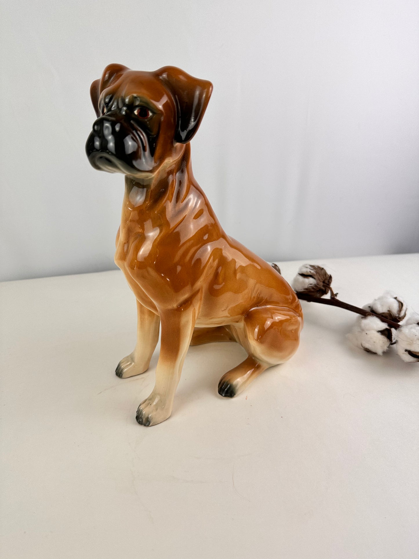 Beeld vintage van Boxer